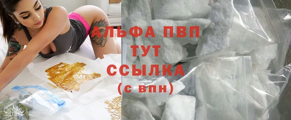гидра Балахна