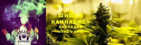 дмт Медногорск