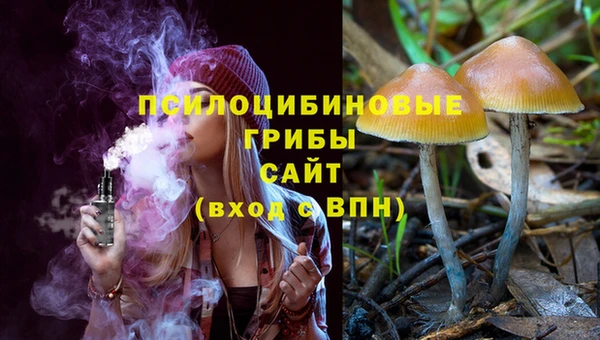 PSILOCYBIN Балабаново