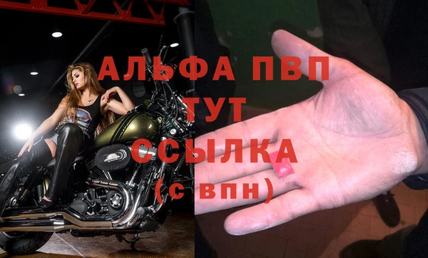 PSILOCYBIN Балабаново