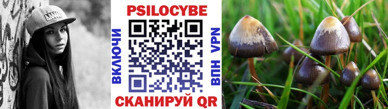 Псилоцибиновые грибы Magic Shrooms  продажа наркотиков  Ялта 